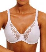 Lilyette Simplex With Embroidery Minimizer Bra