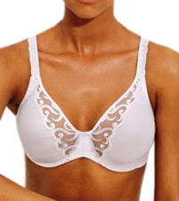 Simplex With Embroidery Minimizer Bra